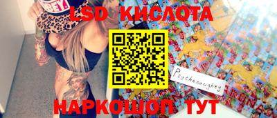 бошки Сланцы
