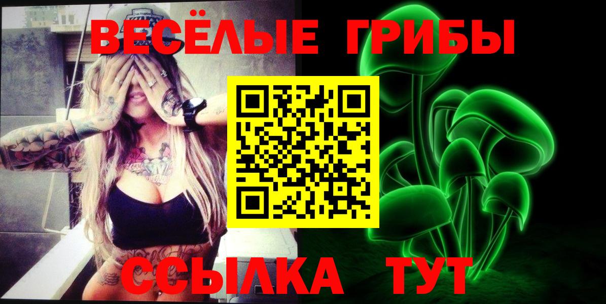 Галлюциногенные грибы MAGIC MUSHROOMS Бийск