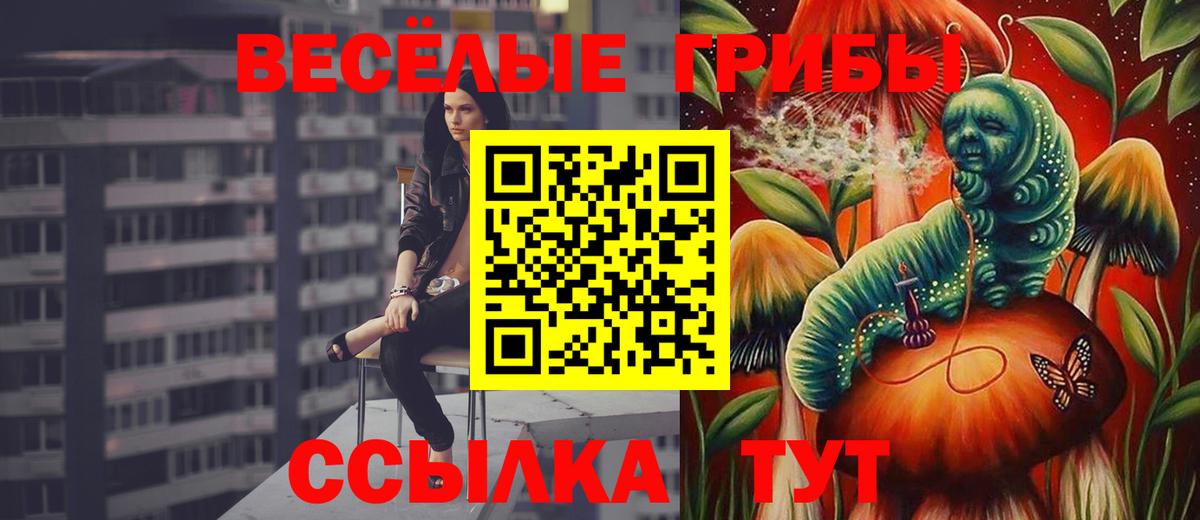 Бийск  Галлюциногенные грибы мицелий  Вход с VPN 